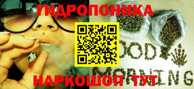 прущие грибы Ирбит