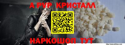 прущие грибы Ирбит