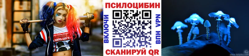 Галлюциногенные грибы прущие грибы  как найти   Сосновоборск 