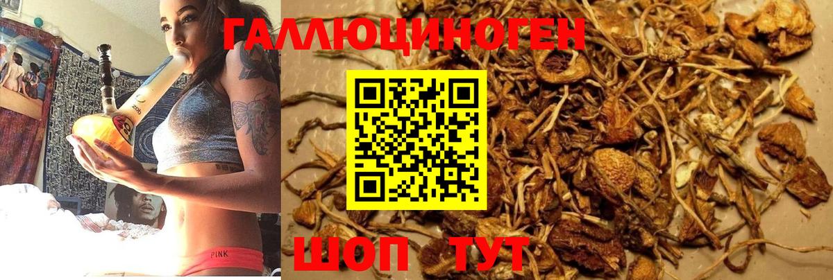 Галлюциногенные грибы мухоморы Сосновоборск
