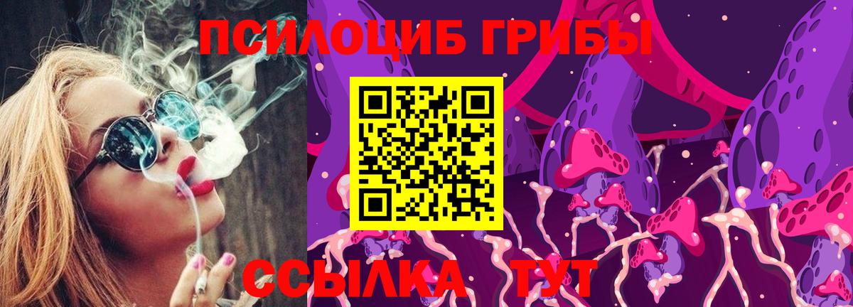 Галлюциногенные грибы Cubensis  Вход с VPN  Сосновоборск 